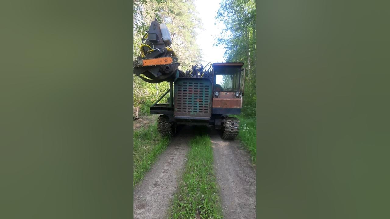 ВОТ НАЧЕМ ЗАГОТАВЛИВАЛИ ЛЕС В БЫЛЫЕ ВРЕМЕНА. И ОНА ВСЕ ЕЩЕ ОГОНЬ ...