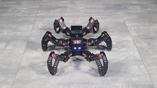 Start Spiderbot