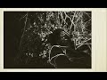 NIK- I'm Sorry (Official Audio)