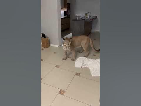 Приведение с моторчиком 🤪 - YouTube