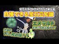 宝石大学#19 「エメラルドの産出地」世界三大産出国って？