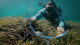 Diving For Blue Swimmer Crabs!