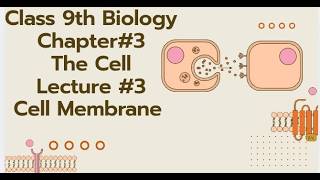 Class 9th Biology Chapter 3 The Cell Lecture 3 Cell Membrane and its Structure