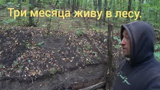 Землянка в лесу на берегу водоема. Живу в лесу уже три месяца.