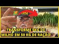 Transforme 5kg de milho em 50kg de ração em 15dias!!