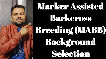 Marker Assisted Backcross Breeding (MABB)-Part 3: Background Selection
