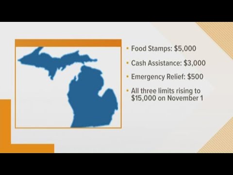 Food Stamps Eligibility Chart Michigan