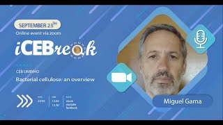 iCEBreak session 8