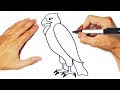 How to draw an Eagle Step by Step | Eagle Drawing Lesson