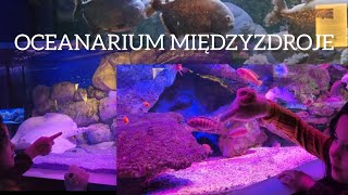 Exploring The Oceanarium In Międzyzdroje 2026 Travel Vlog Natalia