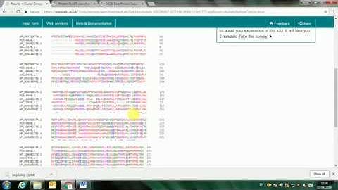 Multiple sequence Alignment #15th Introduction to bioinformatics series