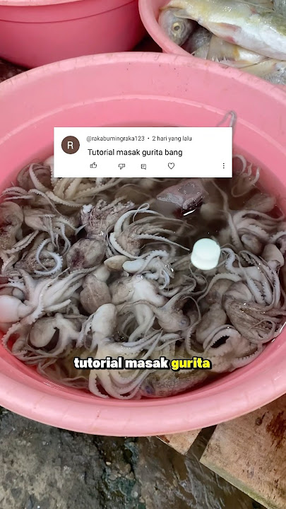 Octopus cooking tutorial #tutorial #octopus #cookingoctopus #shorts #comedy