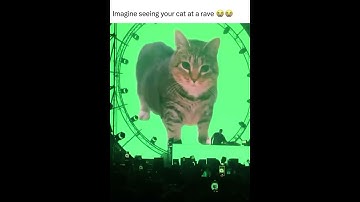Thumbnail of POV:Concerts in 2050 😂😂 #funny #memes #cat #rave