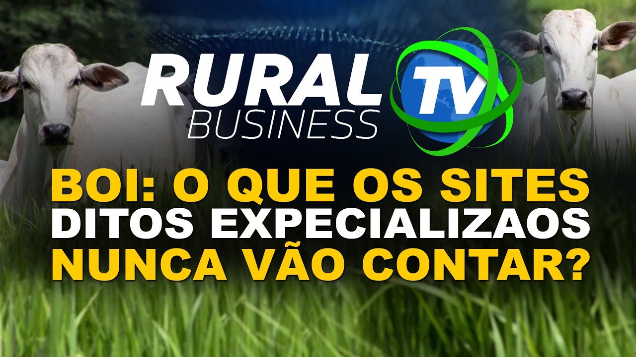 BOI: O QUE OS SITES DITOS ESPECIALIZADOS NUNCA VÃO CONTAR?