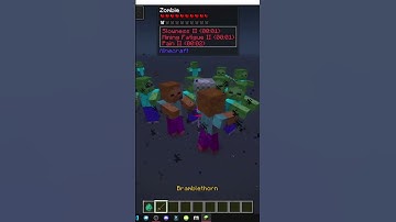 HOW THE BRAMBLETHORN EFFECT WORKS IN THE SIMPLY SWORDS MOD