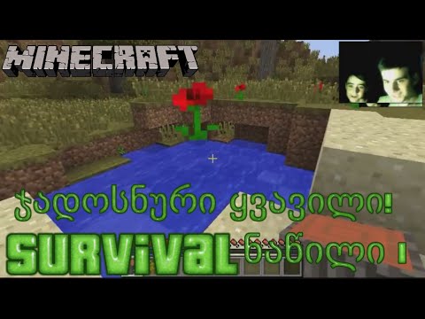 ჯადოსნური ყვავილი! | Minecraft: Survival #1 (თამაშის გასვლა)
