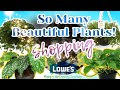 Plant Shopping At Lowe’s: So Many Beautiful Plants! (Hoya, Begonia, Lipstick Plants & More!)