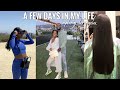 A Few Days In LA | Silk Press, Ikea Haul, Hiking, Dinner Dates!