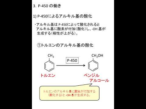 2020環境衛生の基礎 解説（異物代謝・第一相反応）