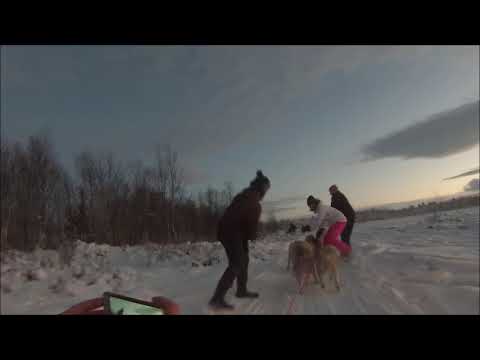 Video: Lake Lovozero, Murmansk region: photo, description
