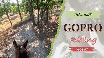 Relaxing Trail Ride & Satisfying Grooming | GoPro POV & ASMR with My Mare