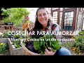 Huerta Familiar | No es comida perfecta, es Comida Orgánica | Cosecha y Cocina en un día cualquiera