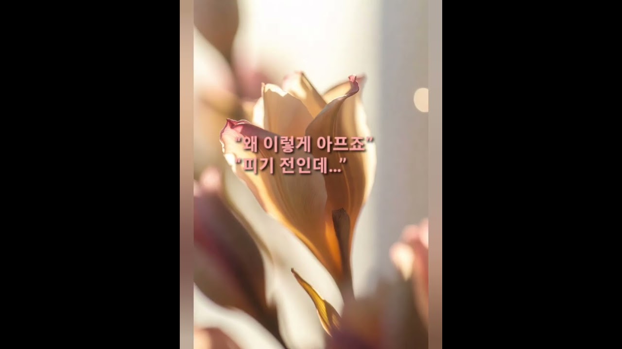 🎧“피기 전인데… 왜 이렇게 아플까요🌸 (5곡 몰입 EP)”“Why Does It Hurt Before It Blooms? 🌸”#쇼츠#감성쇼츠#눈물주의#고백전#심장저격#Shorts