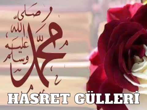 Abdullah Akbulak - Hasret Gulleri