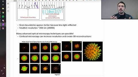 Microscopes: optical vs SEM vs TEM vs AFM