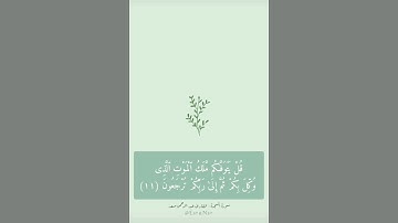 آيات من سورة السجدة بصوت القارئ عبد الرحمن مسعد 🤍🌱. قرآن كريم || حالات واتس اب