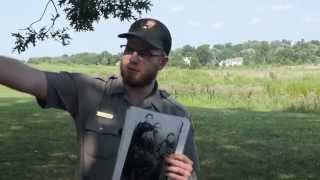 Pickett's Charge and Archer's Brigade  Ranger Philip Brown