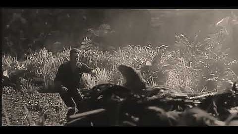 MEP part 12 For Echo the spinoraptor