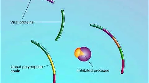 HIV: Mechanisms of Action of Protease Inhibitors (PIs)