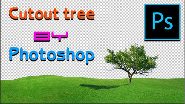 How to cutout tree in Photoshop Cut Out Techniques - Difficult Selections Made FAST and EASY