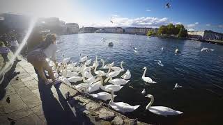 Geneva City