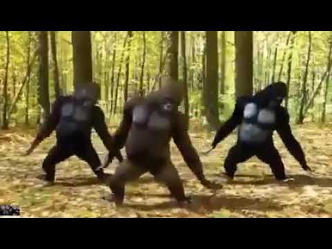Bangunin sahur - YouTube