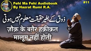 Zoq ke baghair haqeeqat maaloom nahi hoti | Fihi Ma Fihi Audiobook | Rumi Poetry