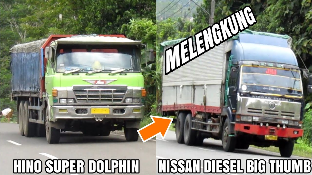  Truk  Tronton  Hino Super Dolphin Hino Ranger Fuso  Fighter  