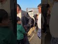 Tergachi mol bozoridan lavhalar