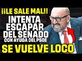 KOLDO intenta HUIR del SENADO con AYUDA del PSOE 🔥¡¡Y TERMINA PERDIENDO LOS PAPELES!!🔥