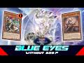 Blue eyes - WCS 2026‼️ | Yu-Gi-Oh! Master Duel
