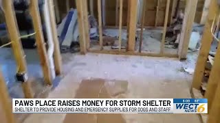 Paws Place Dog Rescue raises over $80,000 so far in fundraiser for Storm Shelter Sanctuary