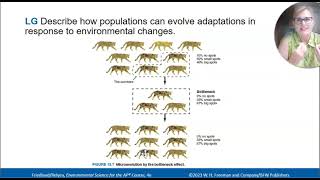 2.6 Adaptations APES