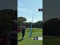 Birdie ALERT! 🕊️