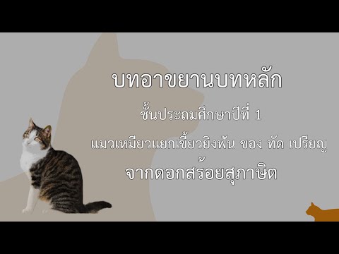 บทอาขยานบทหลัก ป.1 [แมวเหมียวแยกเขี้ยวยิงฟัน] - EP#1 - พลอย | ครูเจมส์ลพบุรี