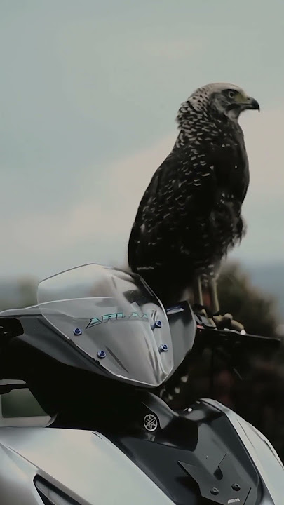 Yamaha Aerox 155CC |cinematic video #yamaha #yamahaaerox #yamahaaerox155