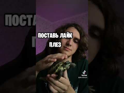 Пролайкаю твои видео