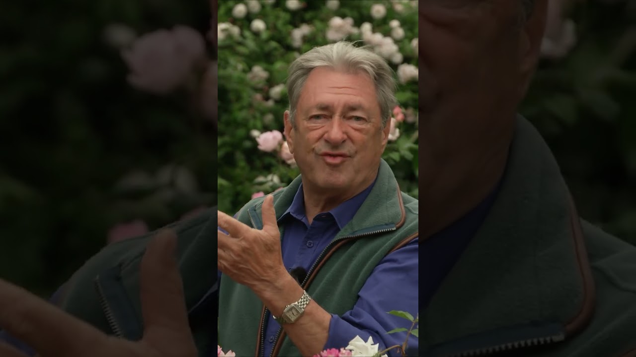 Why Roses are Grafted! 🌹 