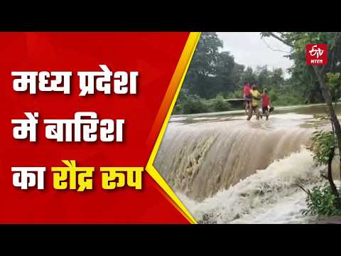 MP Heavy Rain: मध्य प्रदेश में बारिश का रौद्र रूप, Chhatarpur हुआ पानी-पानी, कई शहर जल मग्न | News