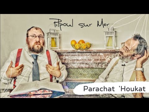 Parachat Houkat